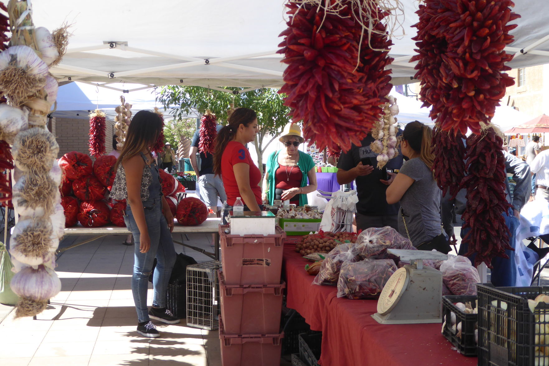 Farmers & Crafts Market